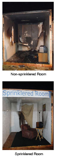 Sprinkler/No Sprinkler Comparison
