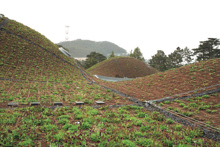 Uponor Case Study: CAOS